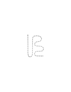 Campagnolo® Campagnolo Kedja För 12 Speed 114 Links